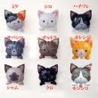 画像6: 【犬 猫しっぽ ポットアレンジ】ねこ いぬ バルーンアレンジ ペットショップ ペットサロン   開店祝い 誕生日 バルーン プレゼント フラワーギフト 周年祝い 動物 バルーンギフト  アレンジメント 花  カード ギフト cat dog balloon (6)
