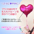 画像12: 【いぬ ねこ 華やかなバルーン　アレンジ】  ペットショップ ペットサロン トリミングサロン 開店祝い 誕生日 プレゼント アレンジメント 犬 猫 フラワー おしゃれ オシャレ オープン記念 お祝い お店 アレンジメント 花 カード ギフト  balloon (12)